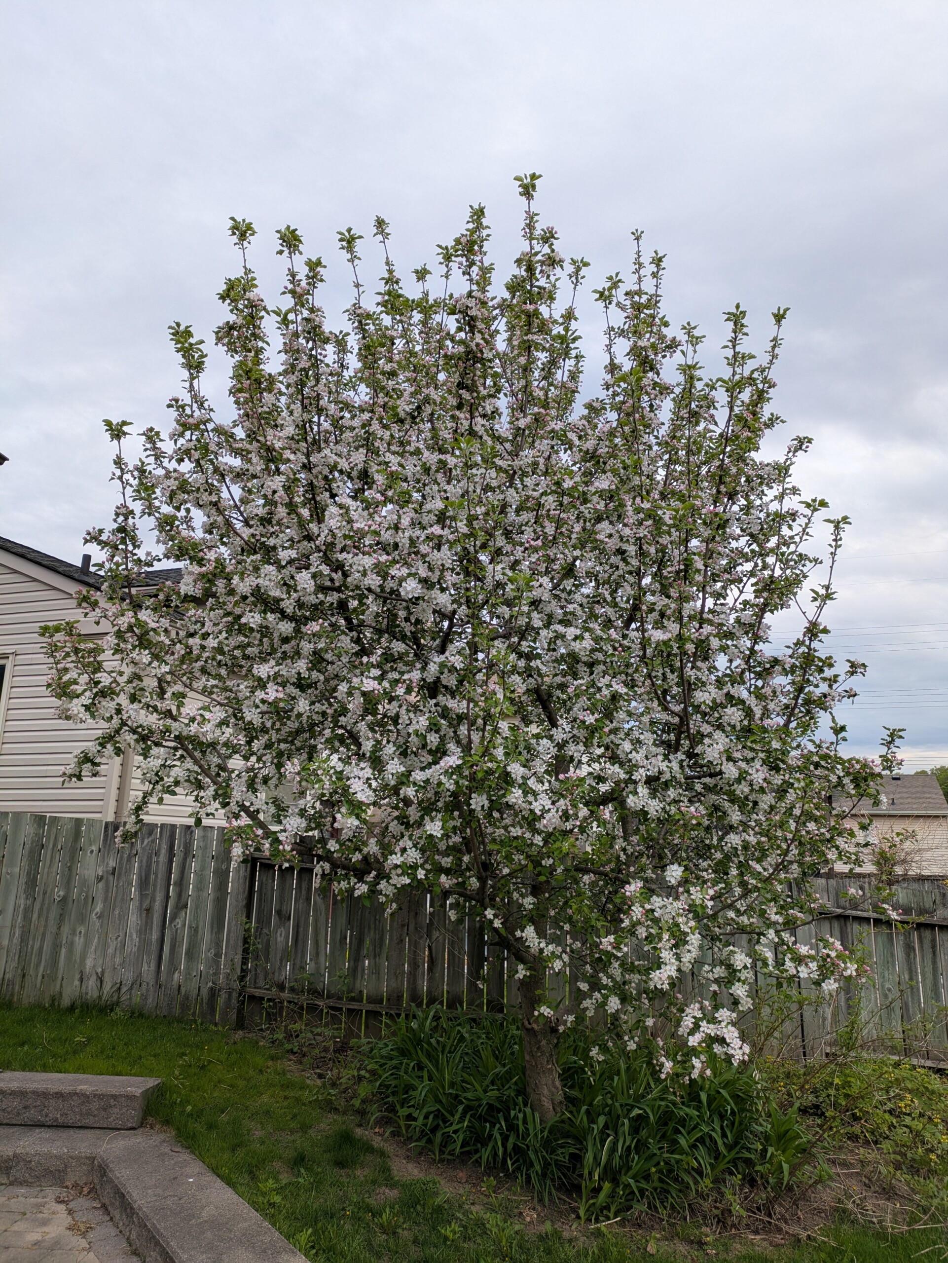 PXL_20250513_115457571